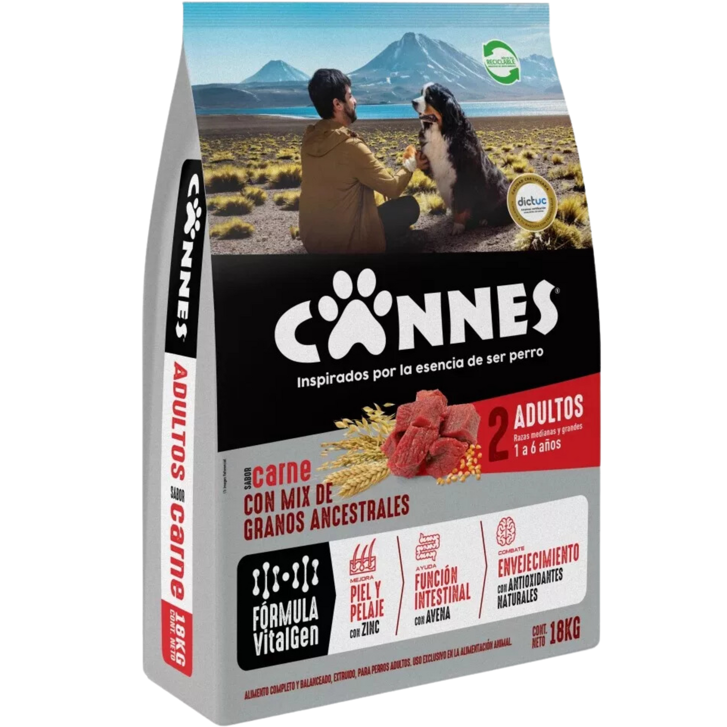 Cannes Adulto Carne y Cereales 18 KG