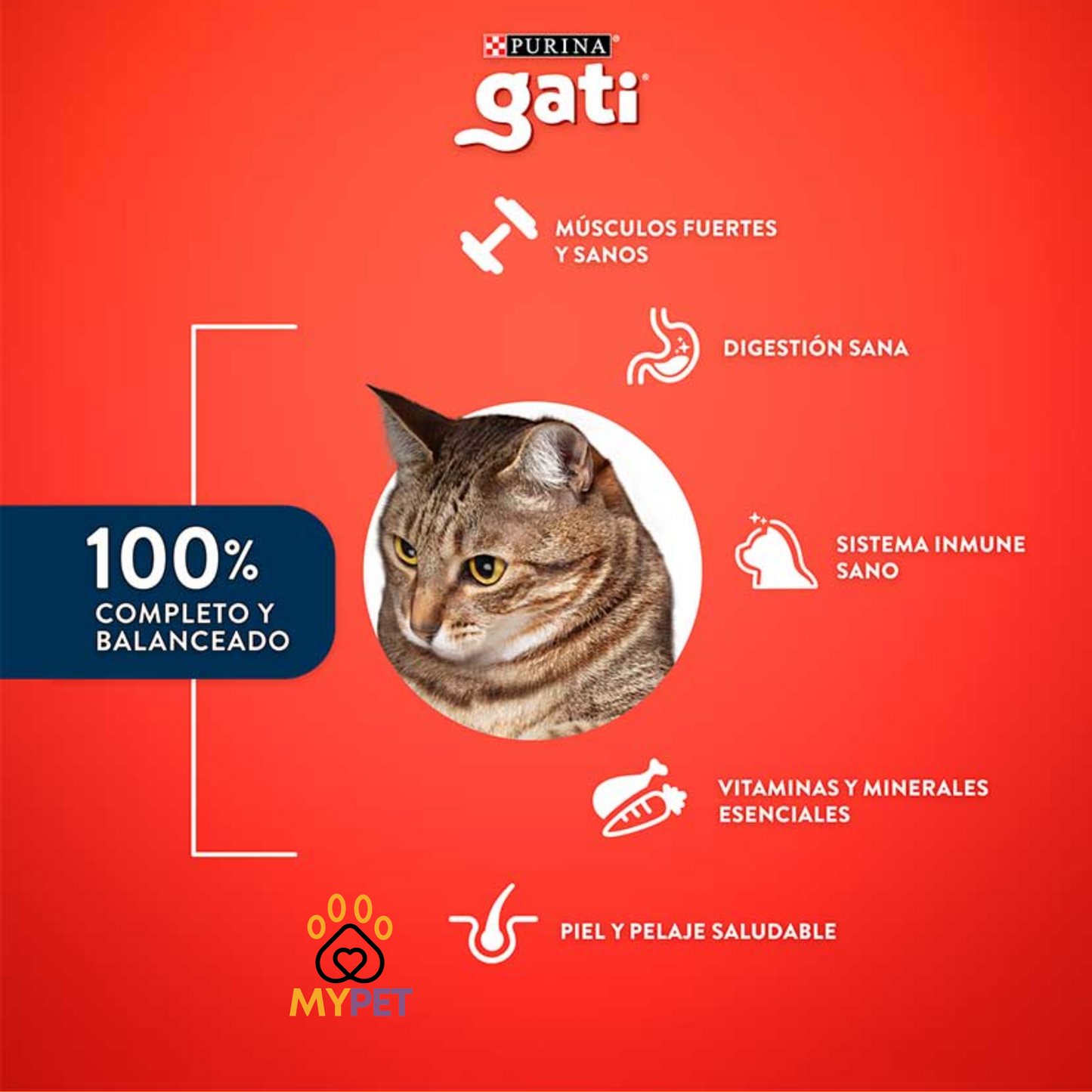 Gati Carne 15 KG